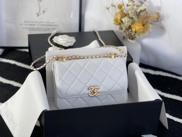 GoAnywhere CHANEL MINI FLAP BAG 1730 - Image 3