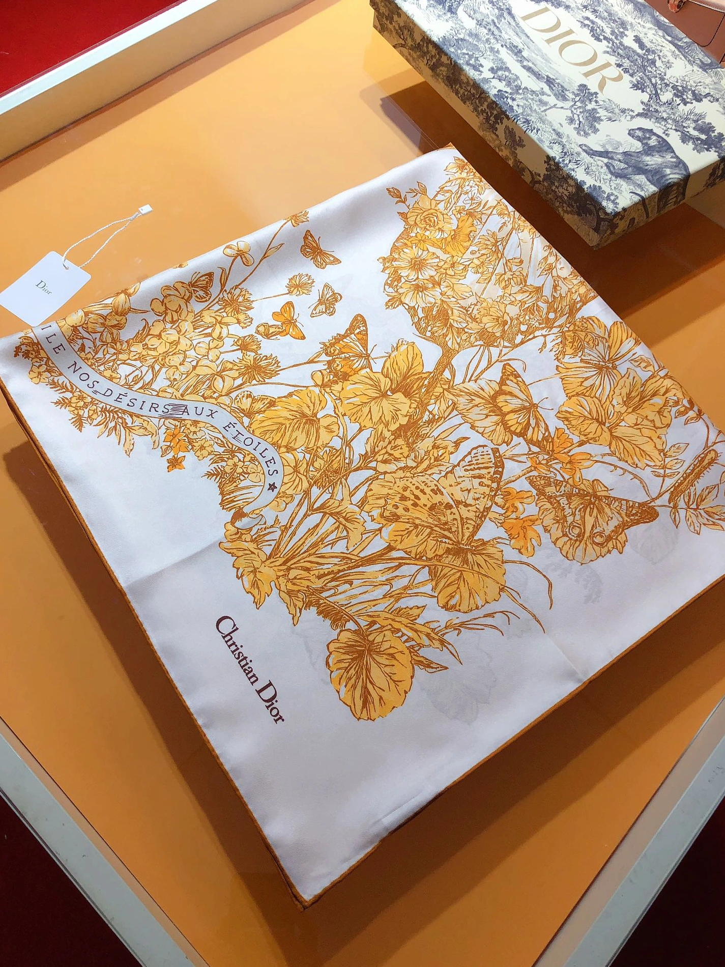 Affordable 1681 Christian Dior Silk Squares For Women - Image 4