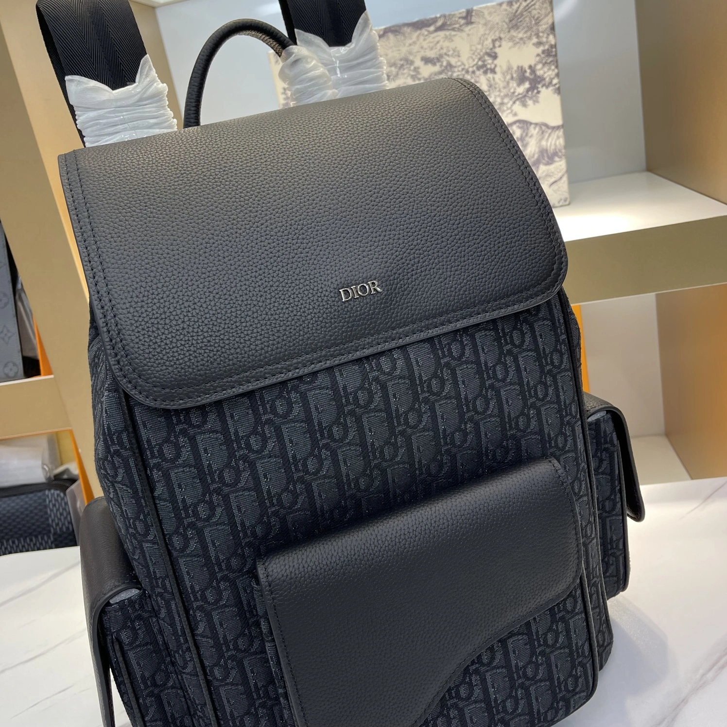 Christian Dior AAA Man Backpacks Classic 1466 - Image 6