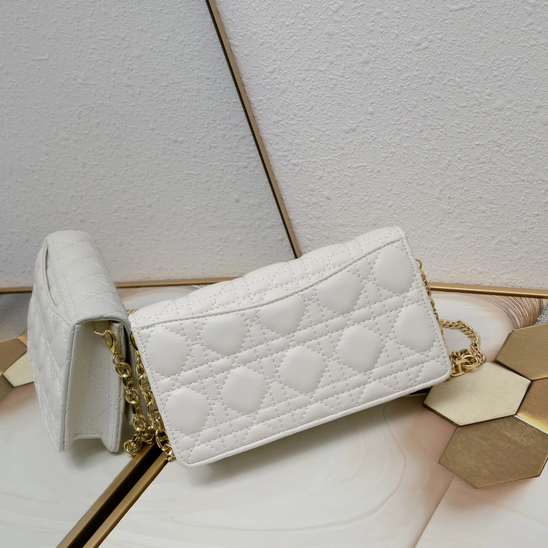 Christian Dior AAA Quality Messenger Bags For Women DailyWear 1058