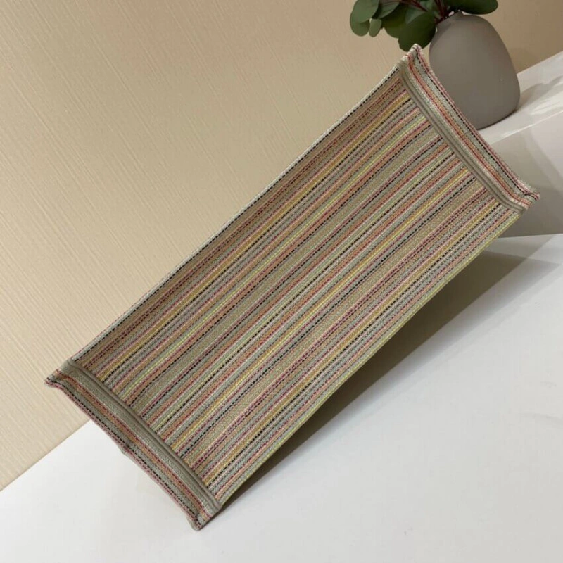 The Dior B Christian Dior Book Tote Multicolor Stripes Embroidery - Image 7