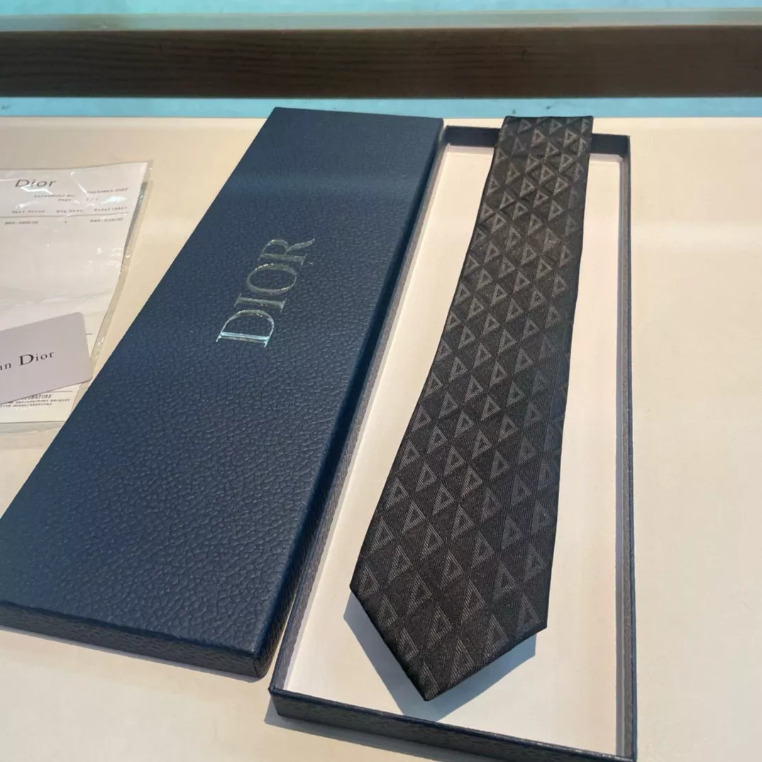 Christian Dior Necktie Cozy 2423