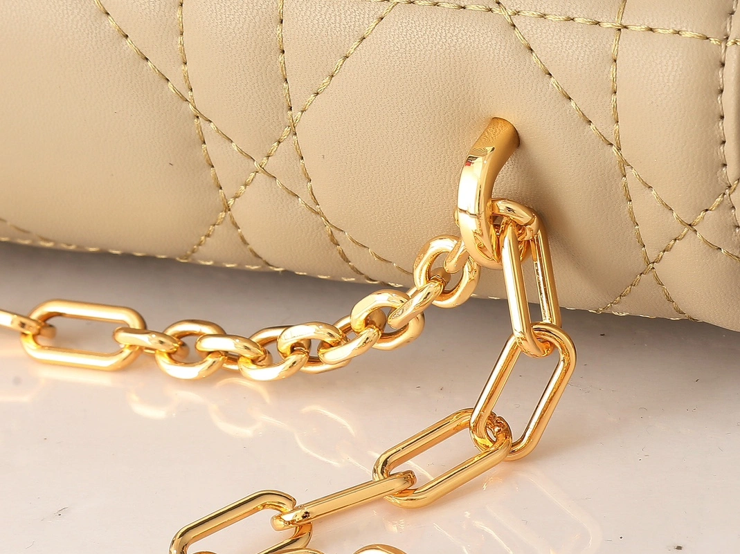 Cozy 2422 Christian Dior AAA Quality Messenger Bags For Women - Image 6