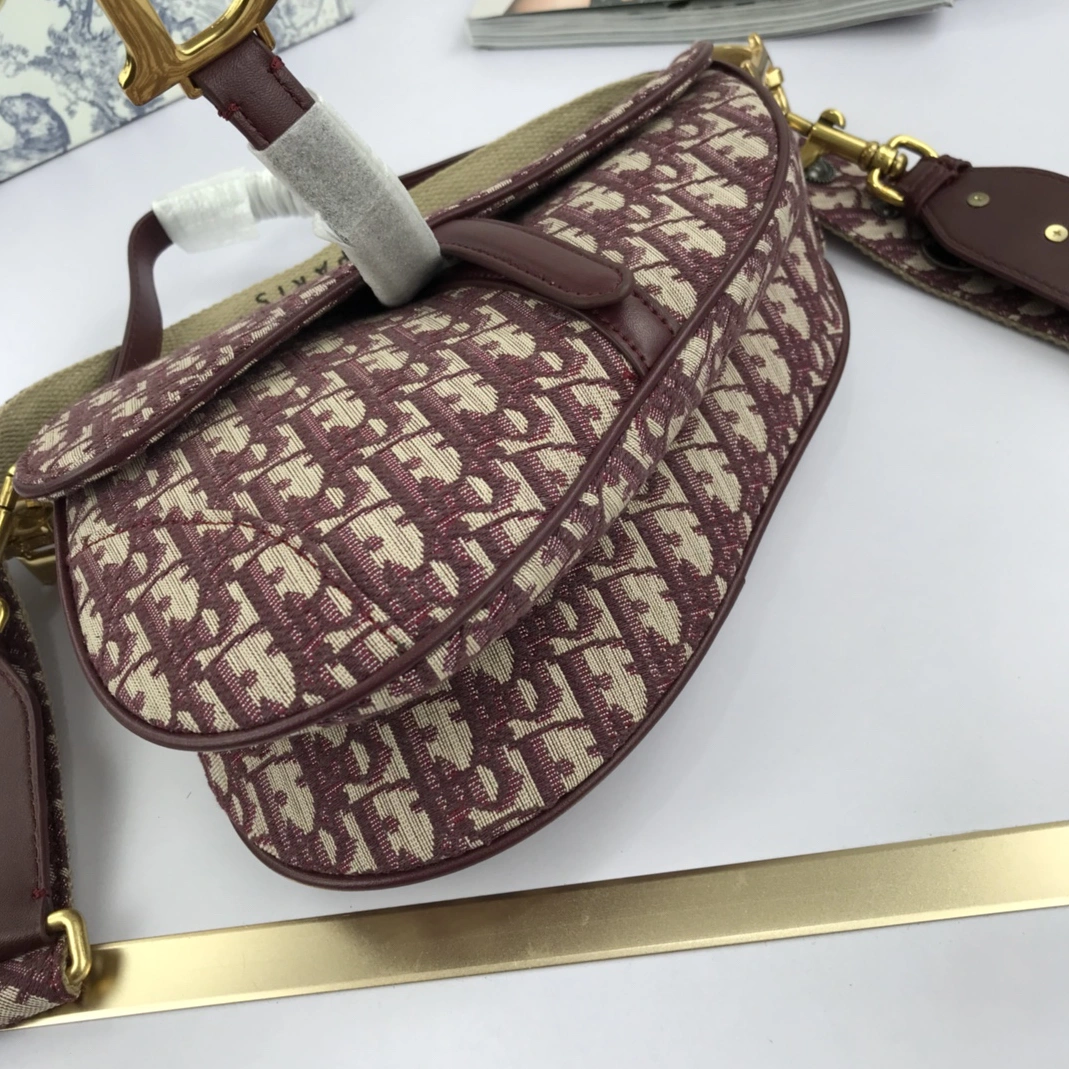 GoAnywhere 9549 Christian Dior AAA Quality Messenger Bags For Women - Image 4