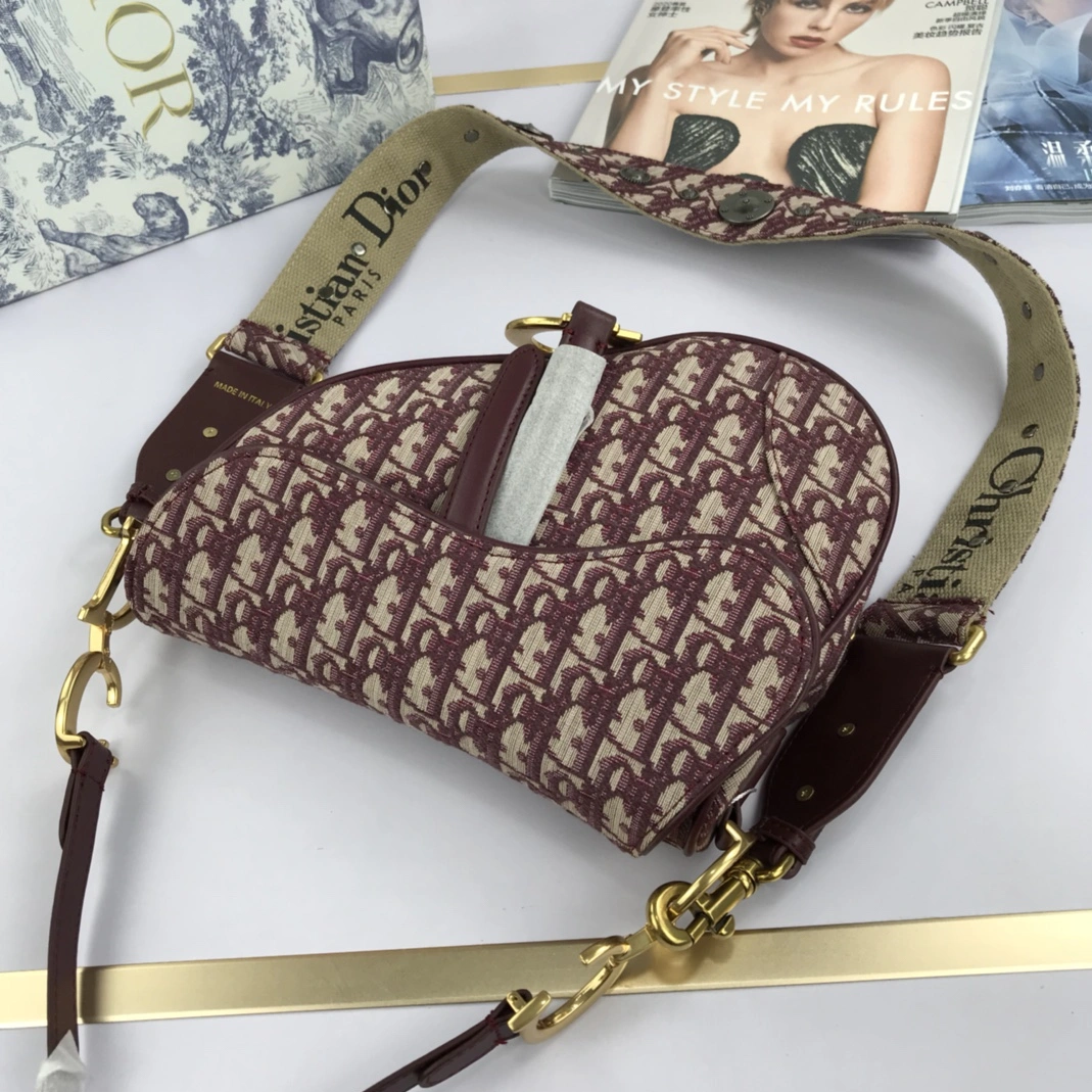 GoAnywhere 9549 Christian Dior AAA Quality Messenger Bags For Women - Image 6