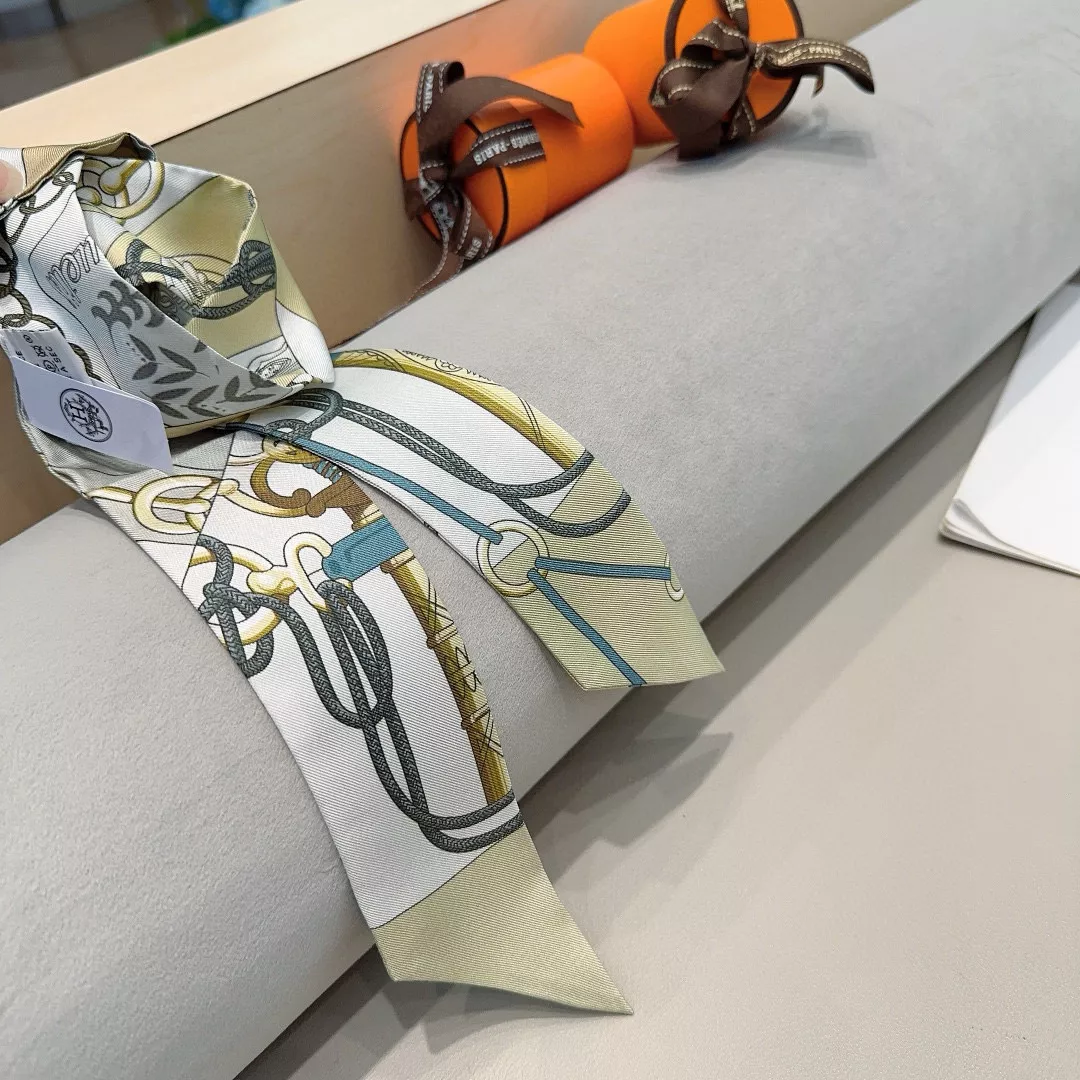 Hermes Silk Scarf StreetReady 2882