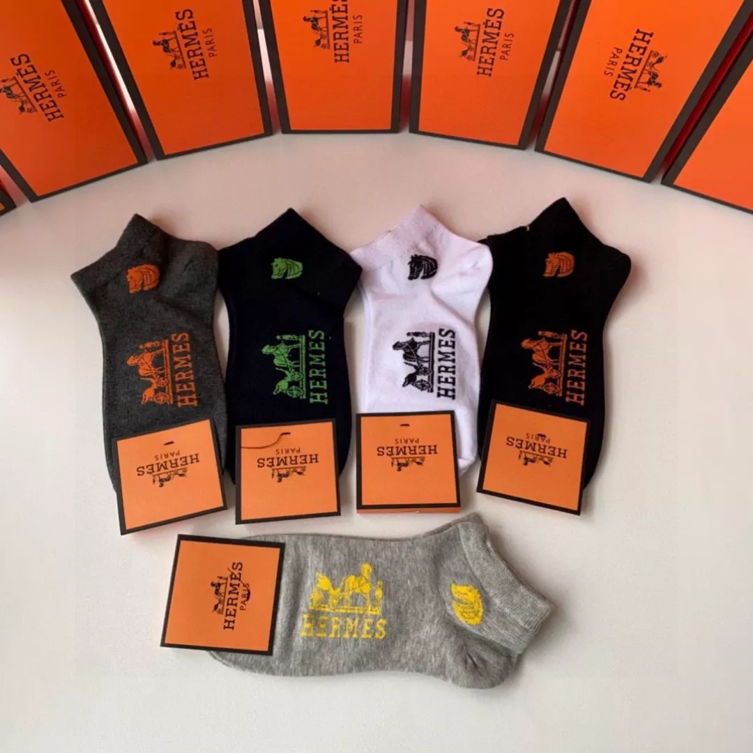 Hermes Socks Bold 9331