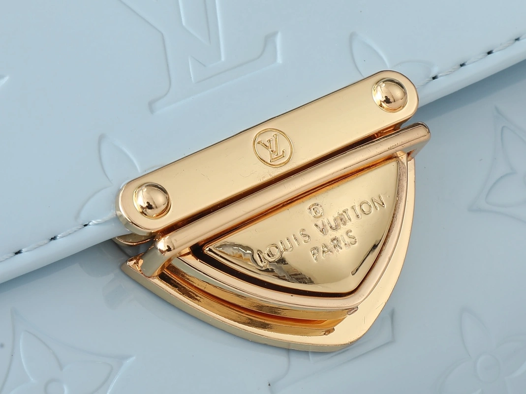 Louis Vuitton AAA Quality Messenger Bags For Women DailyWear 9760 - Image 5