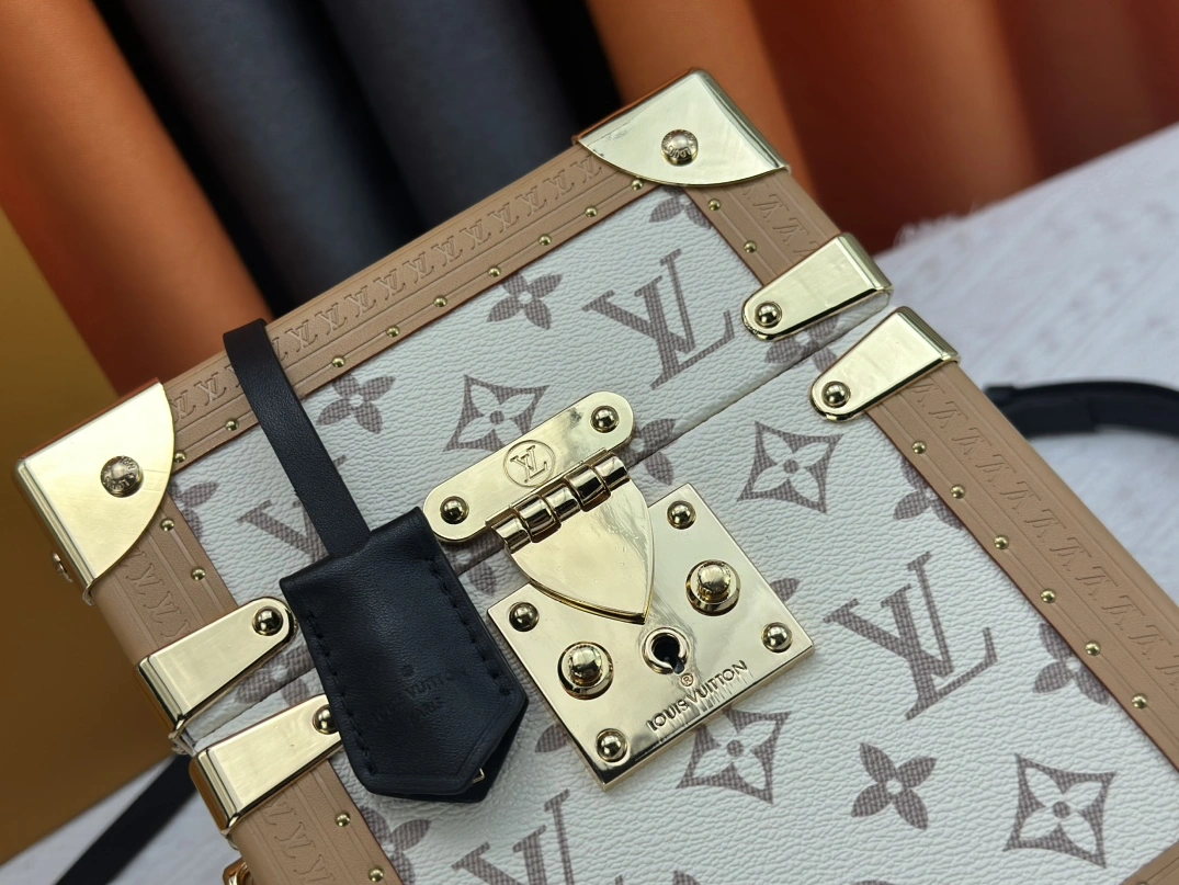 Louis Vuitton AAA Quality Messenger Bags For Women Practical 1078 - Image 6