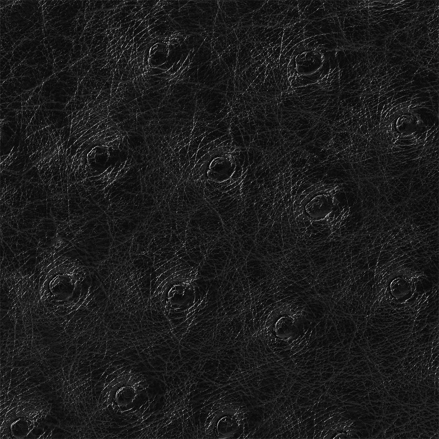 Louis Vuitton Black N94705 Multiple wallet - Image 4