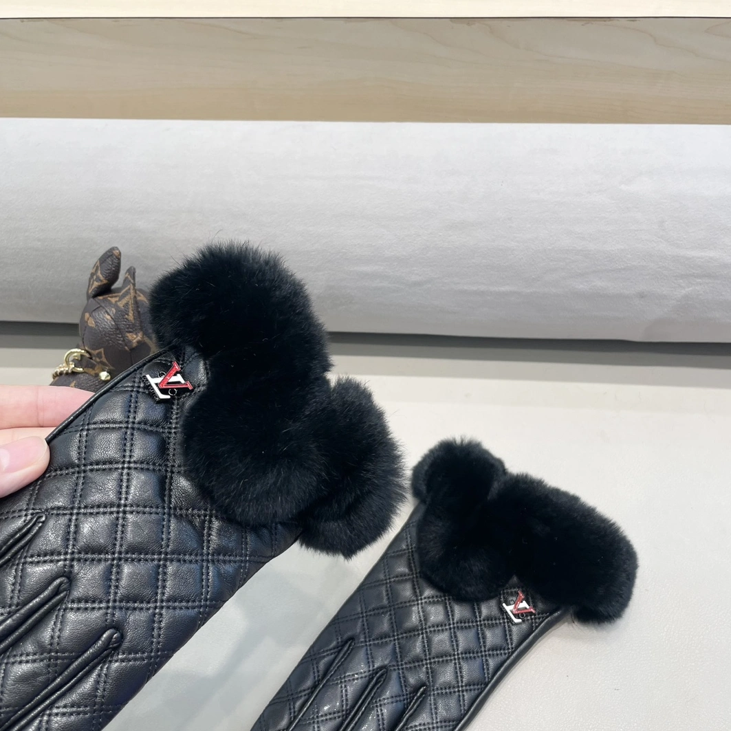 Louis Vuitton LV Gloves For Women DailyWear 4132 - Image 4