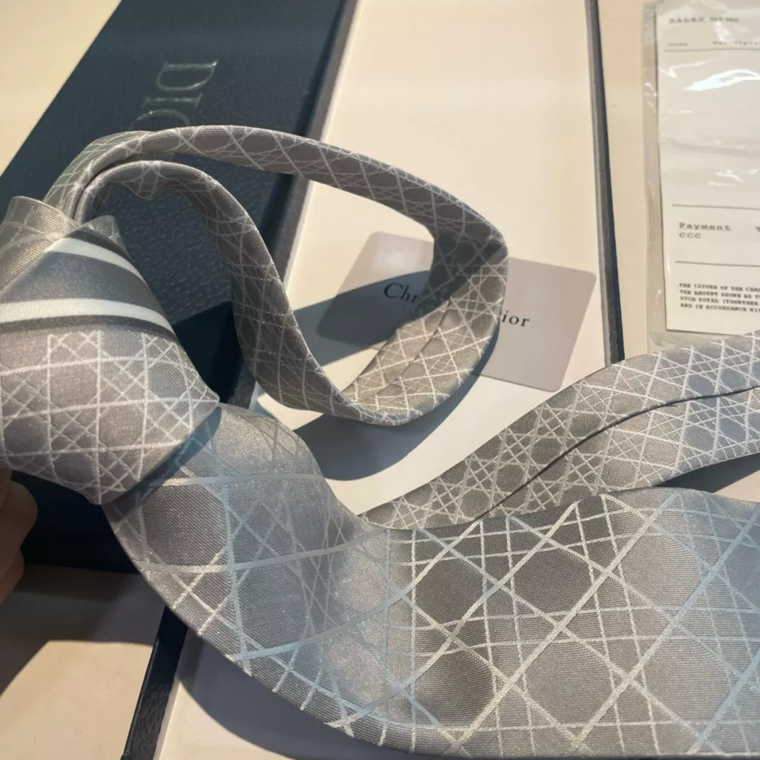 Minimalist 757 Christian Dior Necktie - Image 5