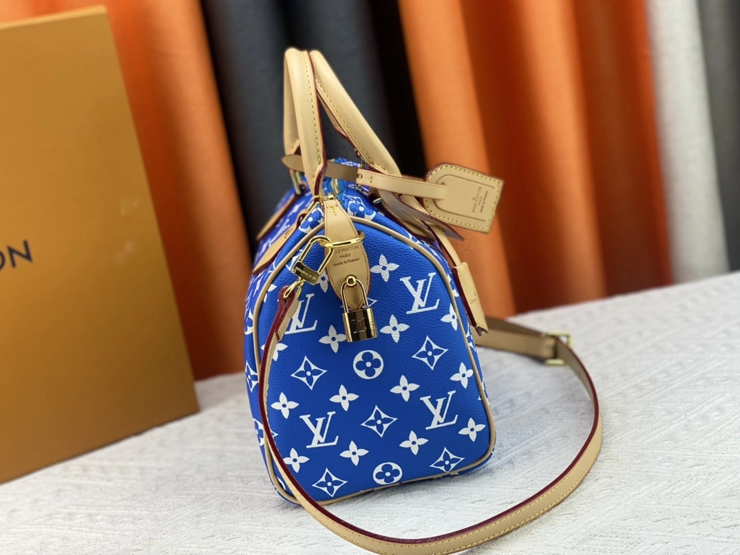 NewStyle 2098 Louis Vuitton AAA Quality Handbags For Women