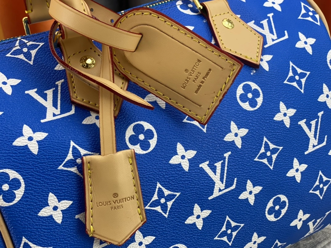 NewStyle 2098 Louis Vuitton AAA Quality Handbags For Women - Image 5