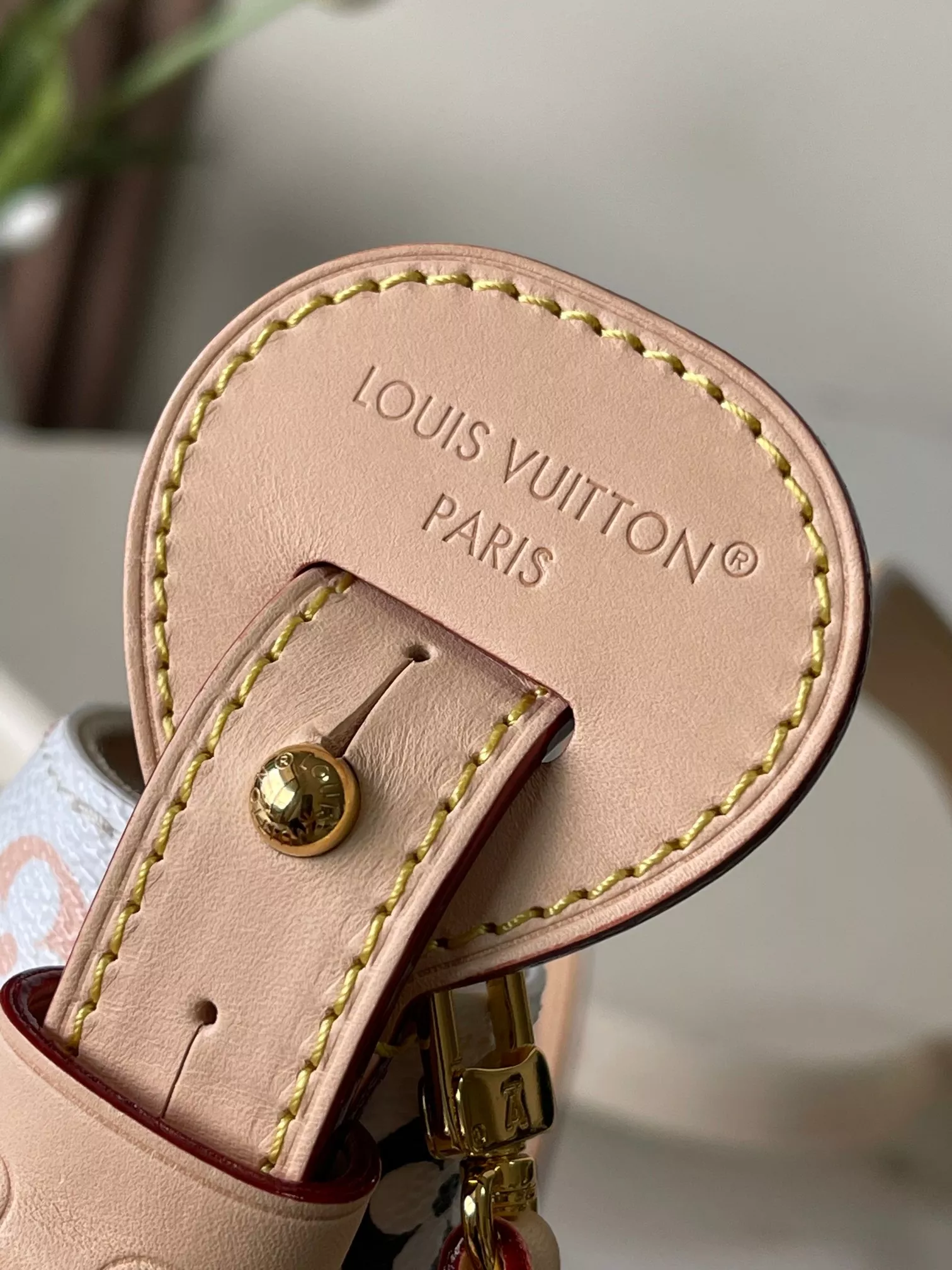 NewStyle 4274 Louis Vuitton AAA Quality Messenger Bags For Women - Image 5