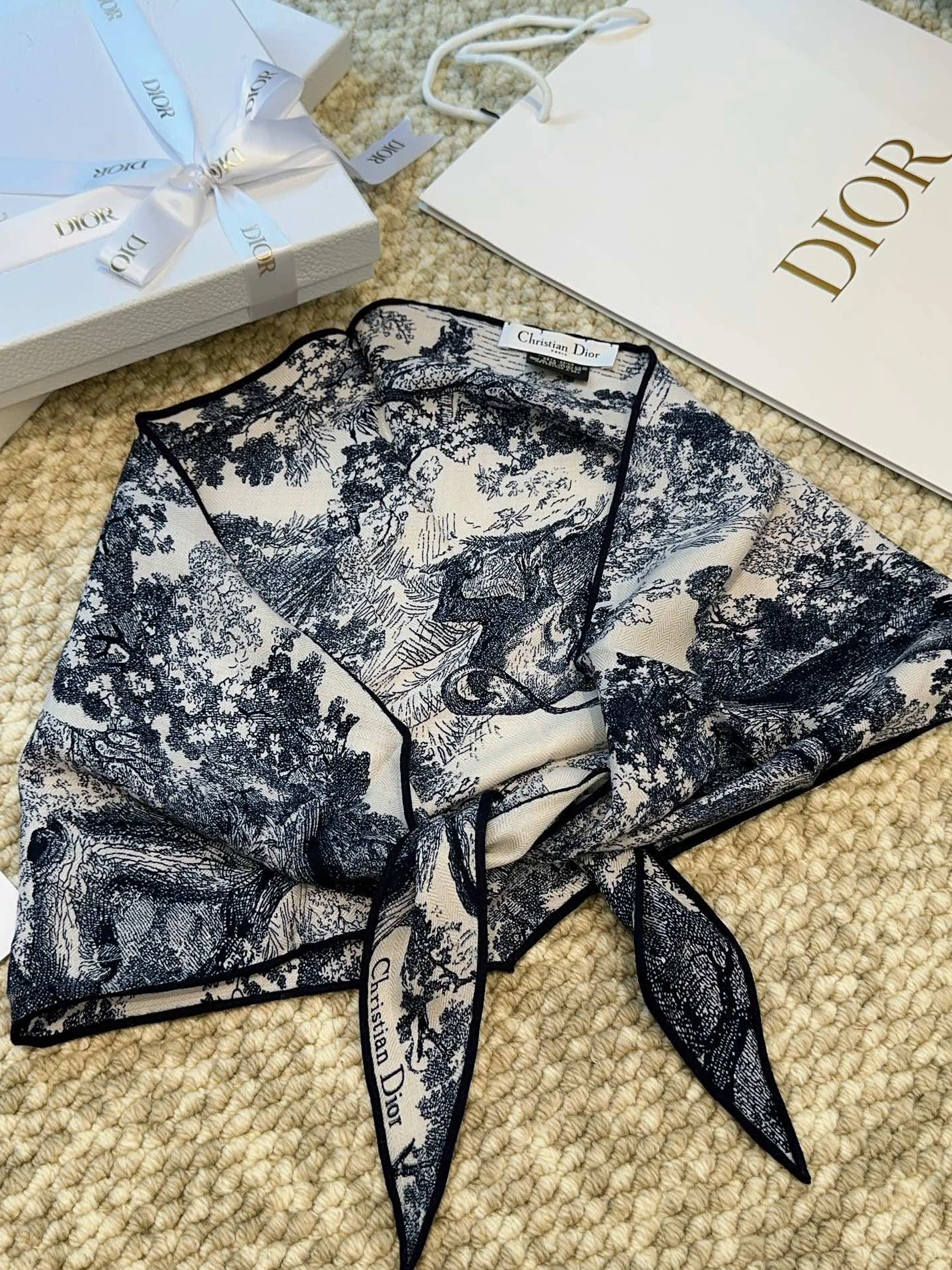 Reliable 9588 Christian Dior Silk Scarf - Image 3