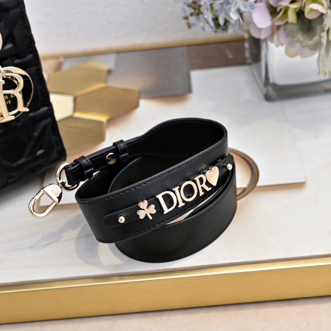 Resilient 1916 Christian Dior AAA Quality Handbags For Women - Image 3