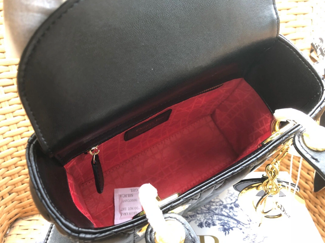 Sleek 1799 Christian Dior AAA Handbags - Image 5