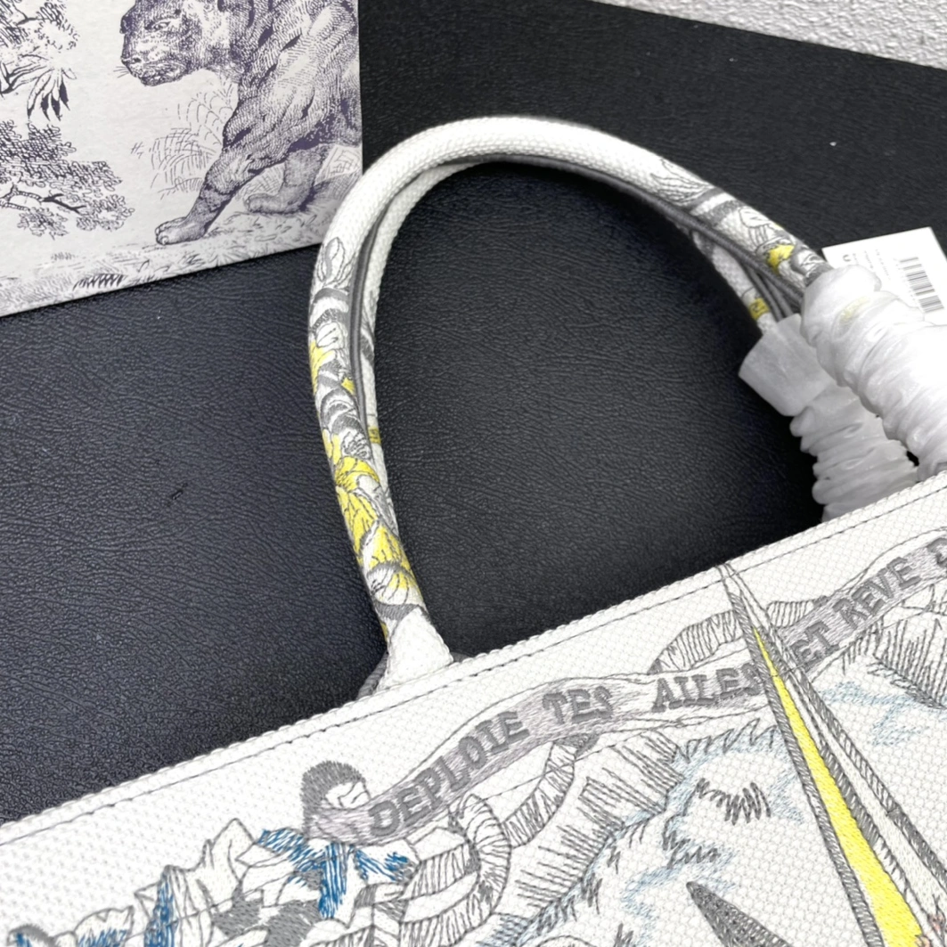 Trendy 2424 Christian Dior AAA Quality Tote-Handbags For Women - Image 5