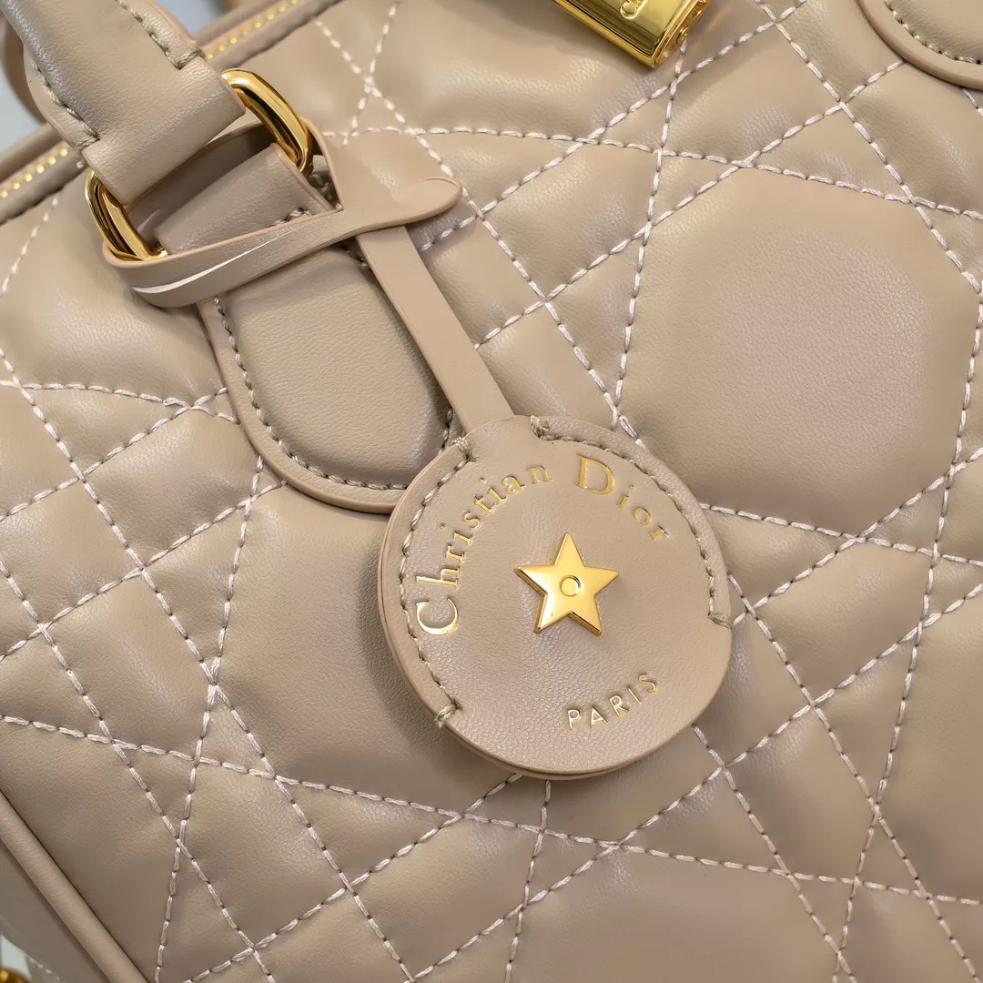 Vibrant 2280 Christian Dior AAA Quality Handbags For Women - Image 4