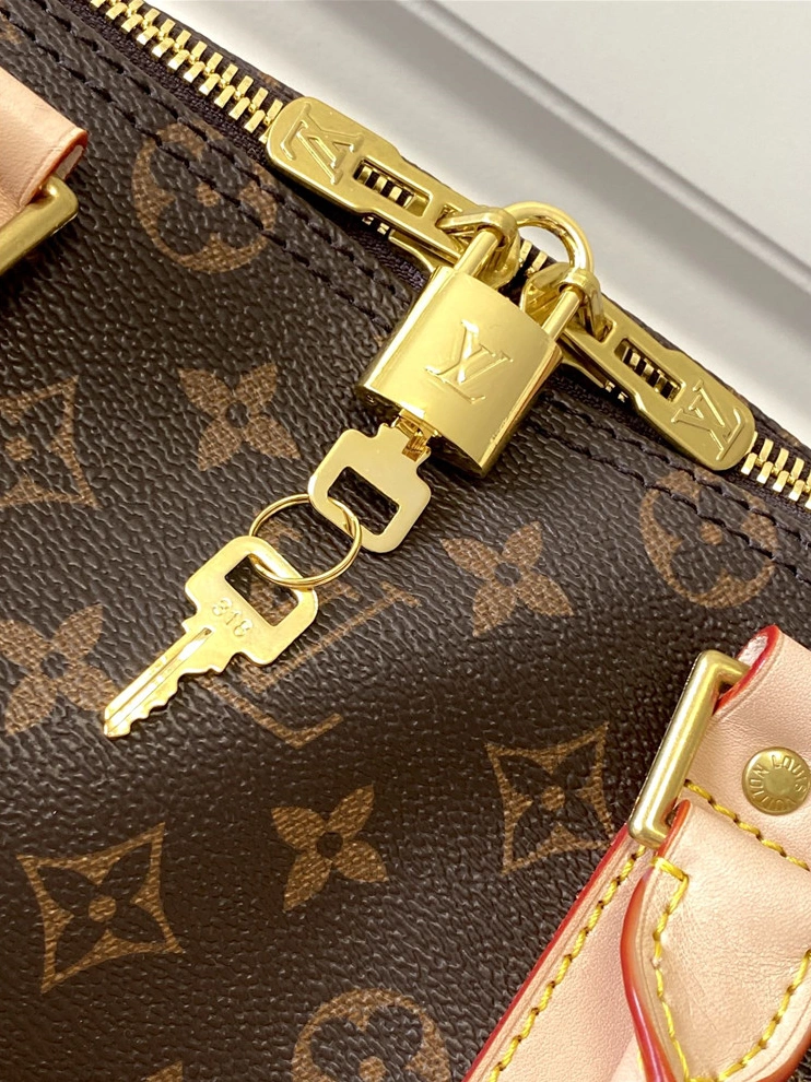 WellDesigned 7807 Louis Vuitton Travel Bags - Image 5